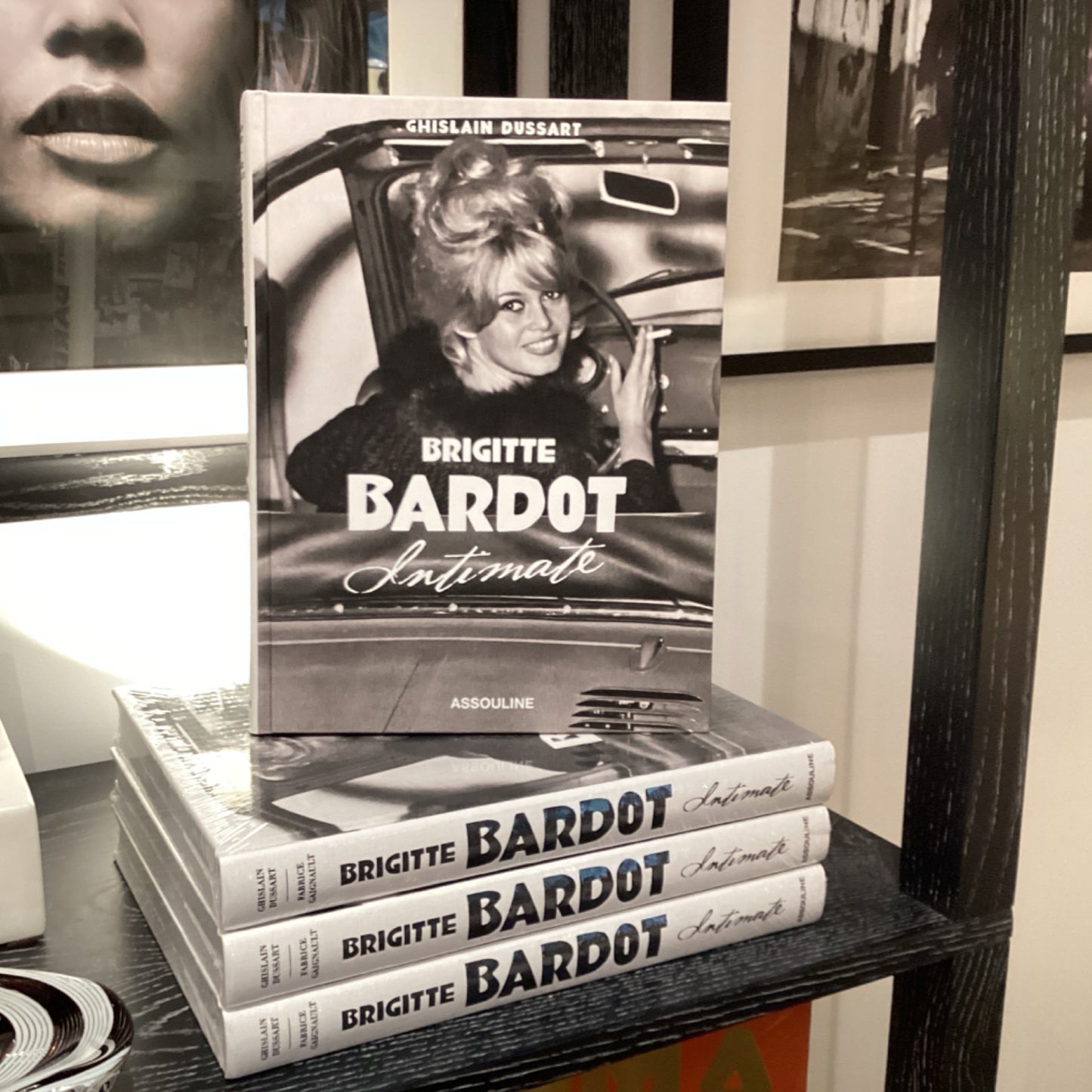 Brigitte Bardot Book